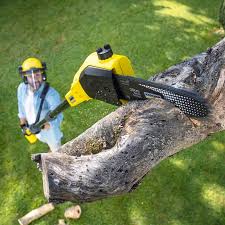 Lawn Renovation and Restoration in Cajahs Mountain, NC